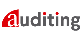 auditing etl global logo